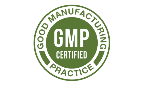  Synaptigen GMP